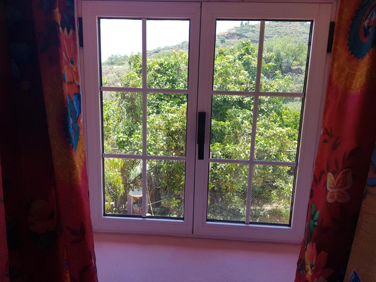 Finca Rural Torres Casas 1 Y 4 Bed & Breakfastベガ・デ・サン・マテオ エクステリア 写真