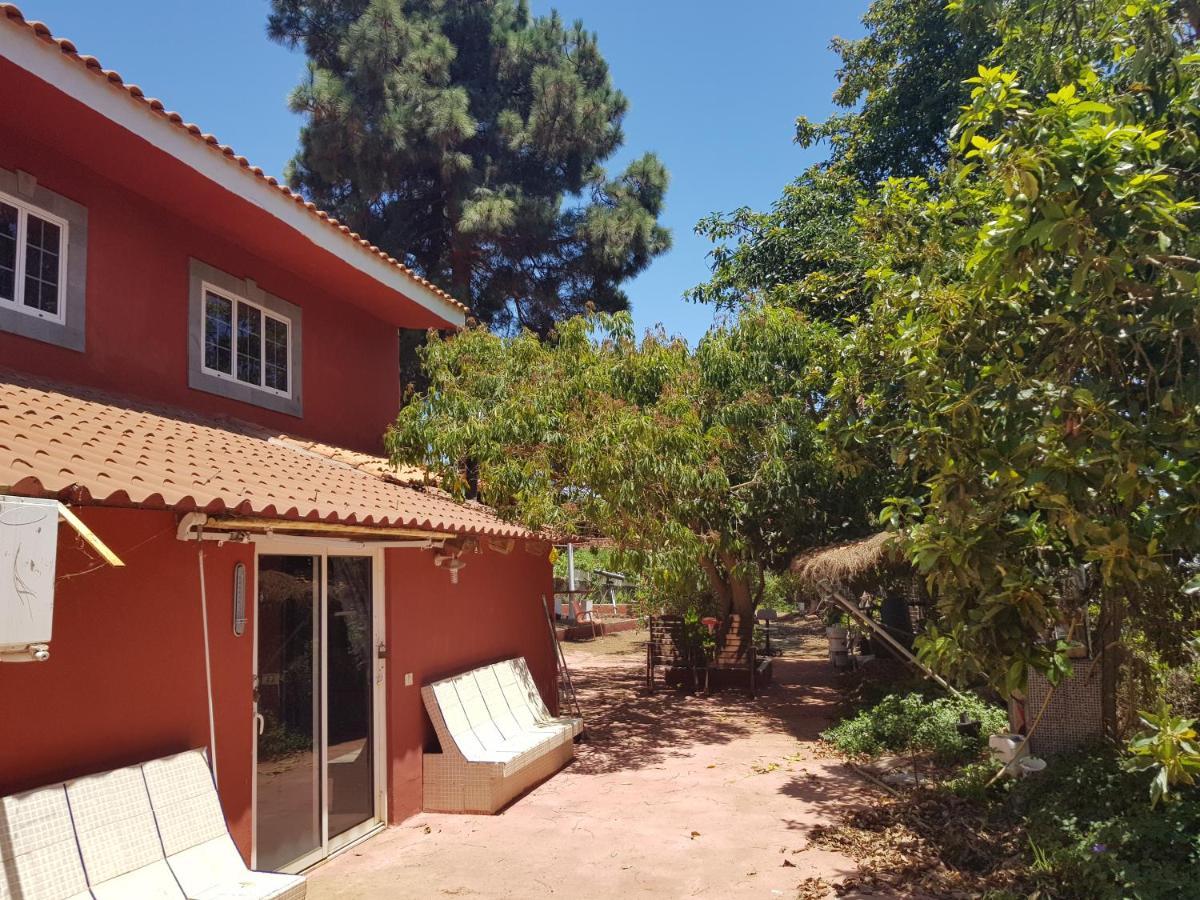 Finca Rural Torres Casas 1 Y 4 Bed & Breakfastベガ・デ・サン・マテオ エクステリア 写真