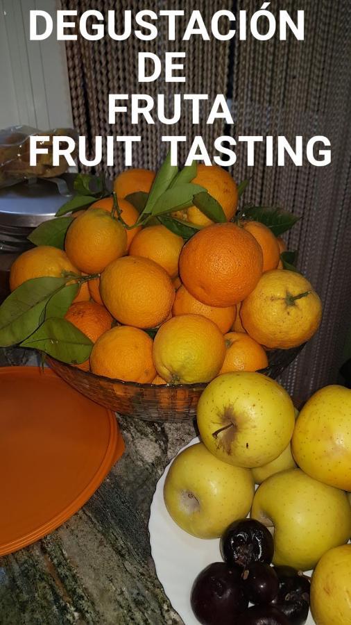 Finca Rural Torres Casas 1 Y 4 Bed & Breakfastベガ・デ・サン・マテオ エクステリア 写真