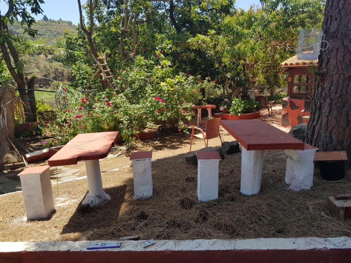 Finca Rural Torres Casas 1 Y 4 Bed & Breakfastベガ・デ・サン・マテオ エクステリア 写真