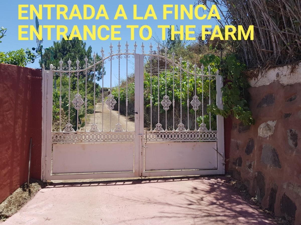 Finca Rural Torres Casas 1 Y 4 Bed & Breakfastベガ・デ・サン・マテオ エクステリア 写真