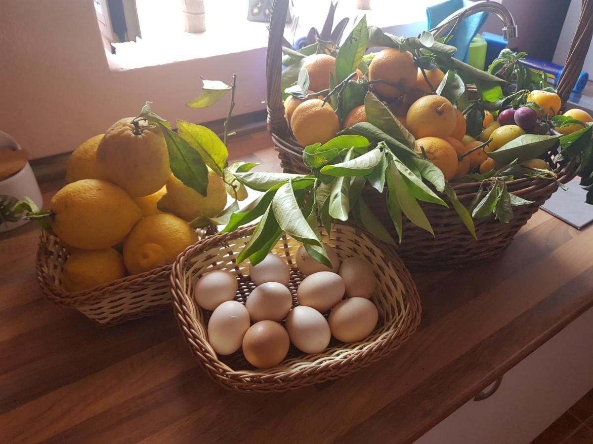 Finca Rural Torres Casas 1 Y 4 Bed & Breakfastベガ・デ・サン・マテオ エクステリア 写真