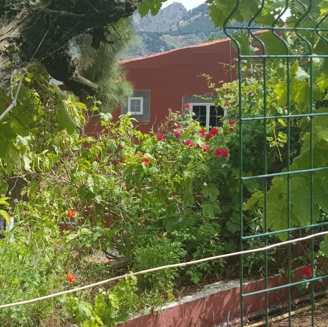Finca Rural Torres Casas 1 Y 4 Bed & Breakfastベガ・デ・サン・マテオ エクステリア 写真