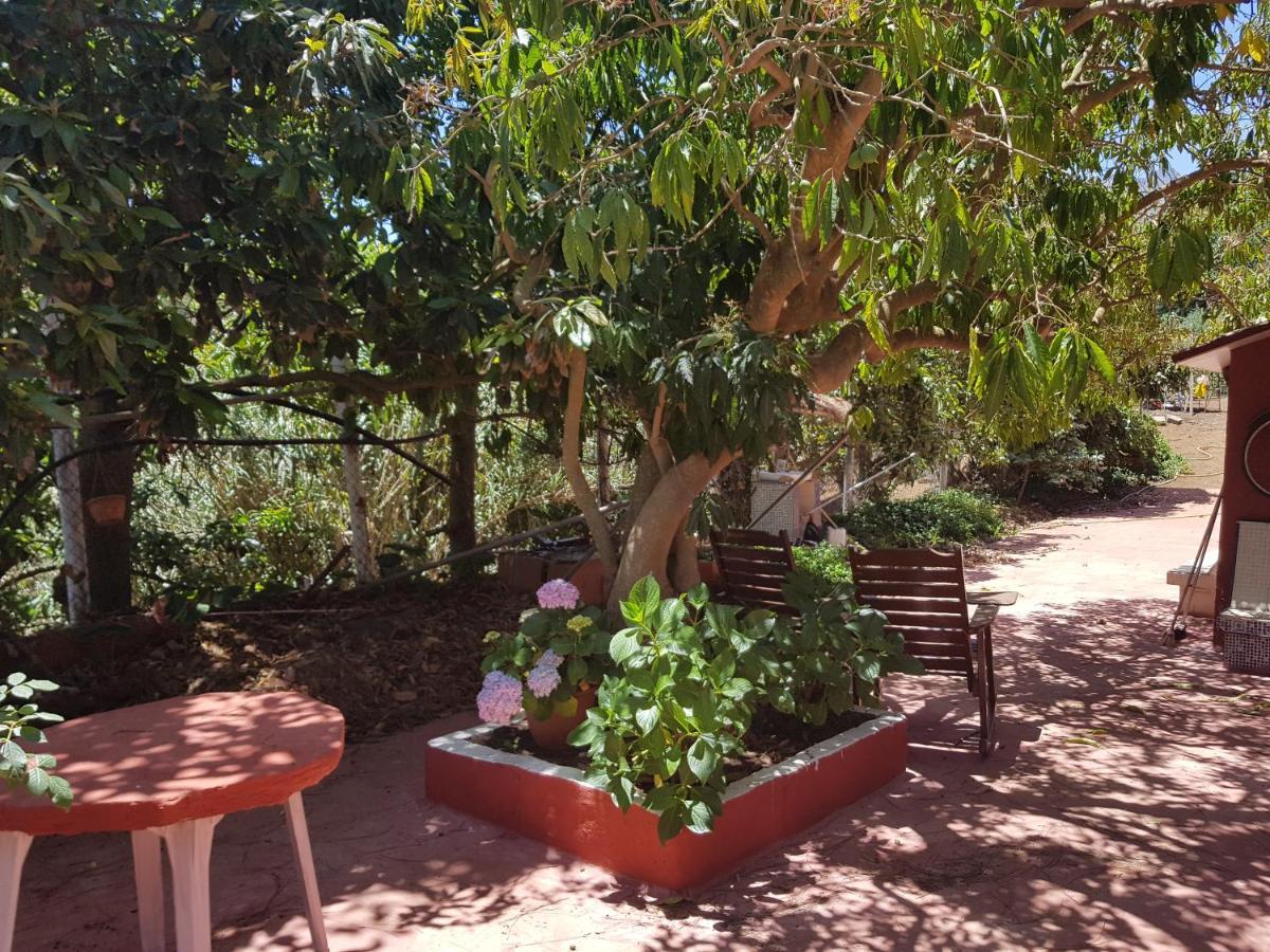 Finca Rural Torres Casas 1 Y 4 Bed & Breakfastベガ・デ・サン・マテオ 部屋 写真