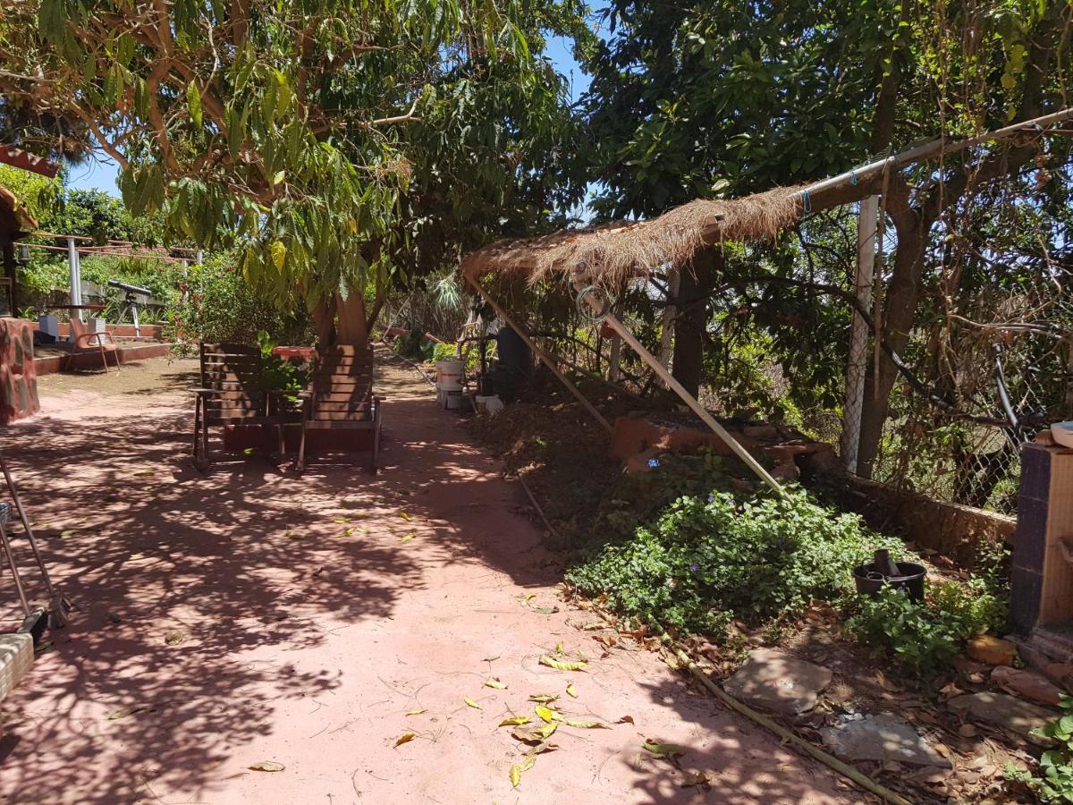 Finca Rural Torres Casas 1 Y 4 Bed & Breakfastベガ・デ・サン・マテオ 部屋 写真